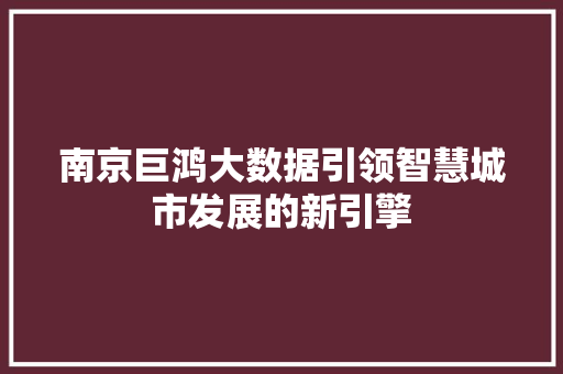 南京巨鸿大数据引领智慧城市发展的新引擎