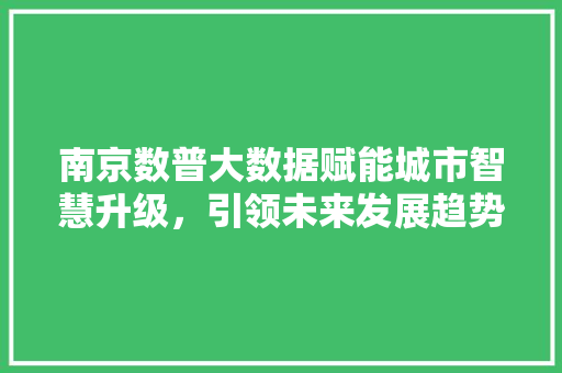 南京数普大数据赋能城市智慧升级，引领未来发展趋势