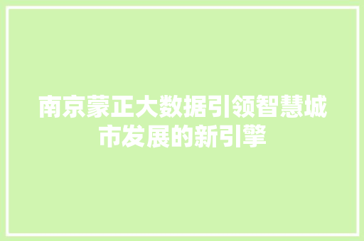 南京蒙正大数据引领智慧城市发展的新引擎
