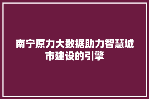 南宁原力大数据助力智慧城市建设的引擎