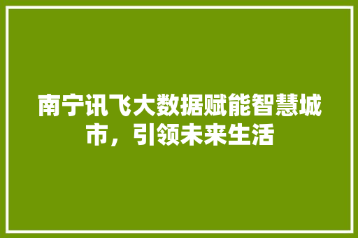 南宁讯飞大数据赋能智慧城市，引领未来生活