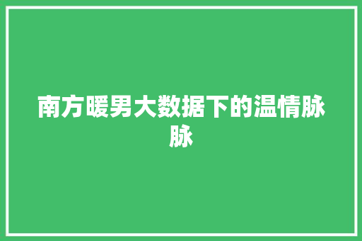 南方暖男大数据下的温情脉脉