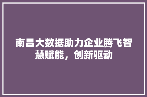 南昌大数据助力企业腾飞智慧赋能，创新驱动