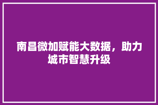 南昌微加赋能大数据，助力城市智慧升级