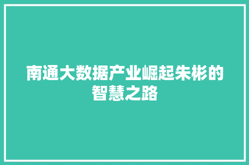 南通大数据产业崛起朱彬的智慧之路