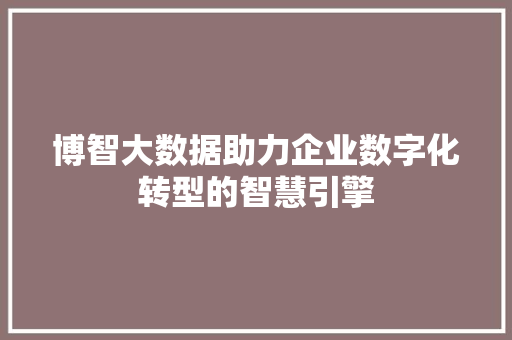 博智大数据助力企业数字化转型的智慧引擎