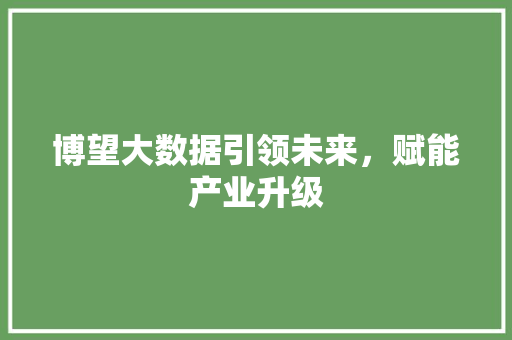 博望大数据引领未来，赋能产业升级