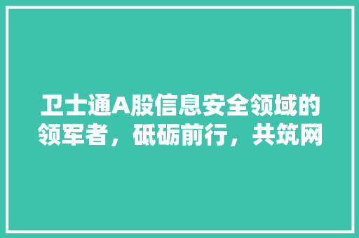卫士通A股信息安全领域的领军者，砥砺前行，共筑网络安全防线