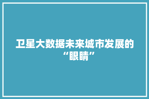 卫星大数据未来城市发展的“眼睛”