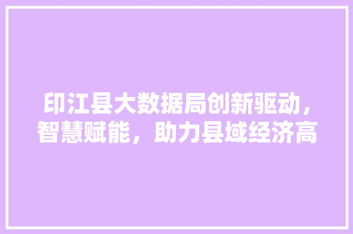印江县大数据局创新驱动，智慧赋能，助力县域经济高质量发展
