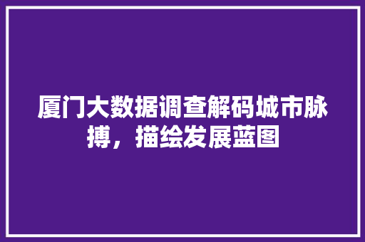 厦门大数据调查解码城市脉搏，描绘发展蓝图
