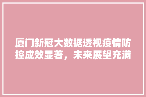 厦门新冠大数据透视疫情防控成效显著，未来展望充满信心