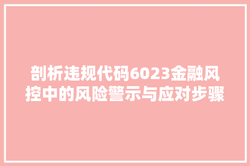 剖析违规代码6023金融风控中的风险警示与应对步骤