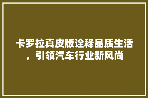 卡罗拉真皮版诠释品质生活，引领汽车行业新风尚 电脑故障维修