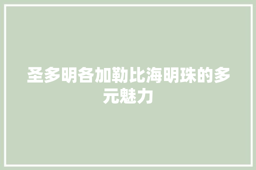圣多明各加勒比海明珠的多元魅力