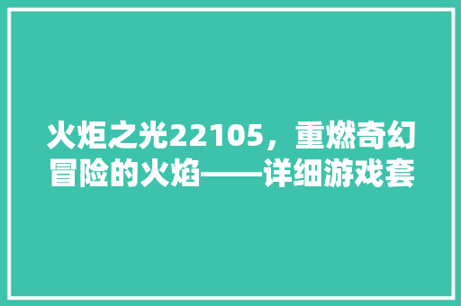 火炬之光22105，重燃奇幻冒险的火焰——详细游戏套代码的奥秘 电脑基础
