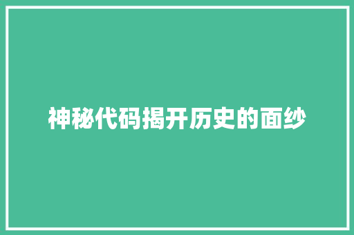 神秘代码揭开历史的面纱 电脑配置