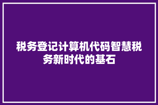 税务登记计算机代码智慧税务新时代的基石