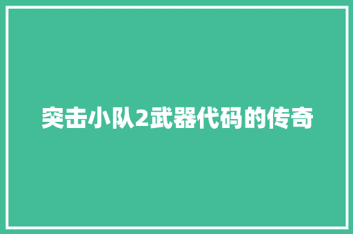 突击小队2武器代码的传奇 电脑故障维修
