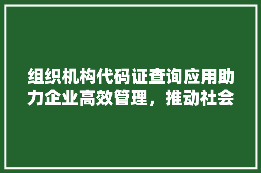 组织机构代码证查询应用助力企业高效管理，推动社会信用体系建设 电脑基础