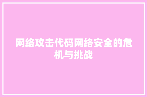 网络攻击代码网络安全的危机与挑战 编程语言