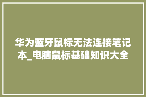 华为蓝牙鼠标无法连接笔记本_电脑鼠标基础知识大全 电脑故障维修