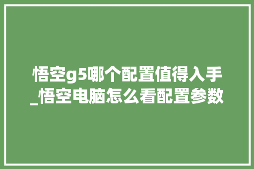 悟空g5哪个配置值得入手_悟空电脑怎么看配置参数 电脑基础