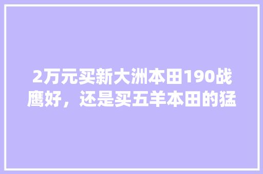 2万元买新大洲本田190战鹰好，还是买五羊本田的猛鸷好_战鹰的电脑配置怎么看的