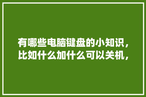 有哪些电脑键盘的小知识，比如什么加什么可以关机，等等_电脑键基础知识详解 网络技术