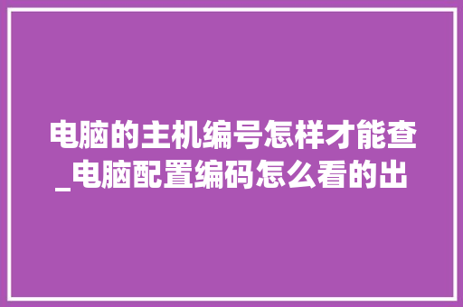 电脑的主机编号怎样才能查_电脑配置编码怎么看的出来