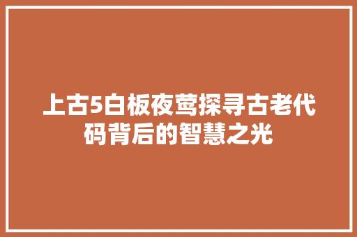 上古5白板夜莺探寻古老代码背后的智慧之光 网络技术