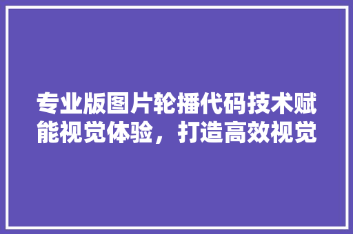 专业版图片轮播代码技术赋能视觉体验，打造高效视觉营销步骤