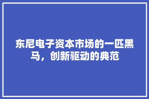 东尼电子资本市场的一匹黑马，创新驱动的典范