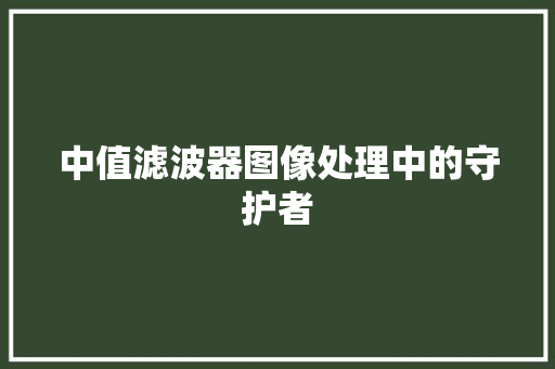 中值滤波器图像处理中的守护者