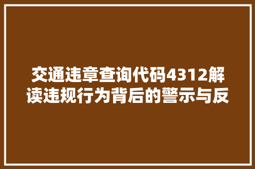 交通违章查询代码4312解读违规行为背后的警示与反思