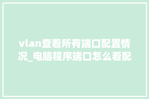 vlan查看所有端口配置情况_电脑程序端口怎么看配置参数