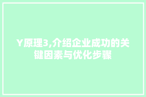 Y原理3,介绍企业成功的关键因素与优化步骤