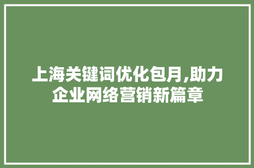 上海关键词优化包月,助力企业网络营销新篇章