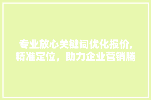 专业放心关键词优化报价,精准定位，助力企业营销腾飞