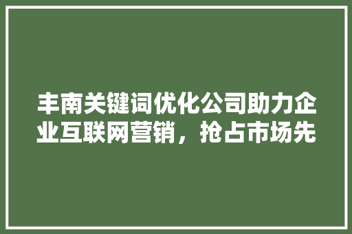 丰南关键词优化公司助力企业互联网营销，抢占市场先机