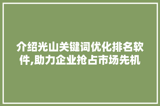 介绍光山关键词优化排名软件,助力企业抢占市场先机