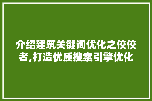 介绍建筑关键词优化之佼佼者,打造优质搜索引擎优化方法的关键步骤