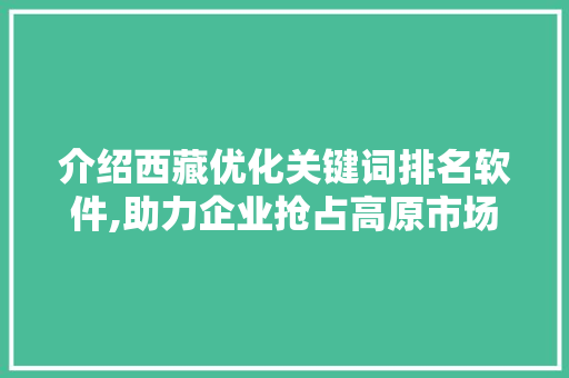 介绍西藏优化关键词排名软件,助力企业抢占高原市场制高点