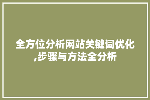 全方位分析网站关键词优化,步骤与方法全分析