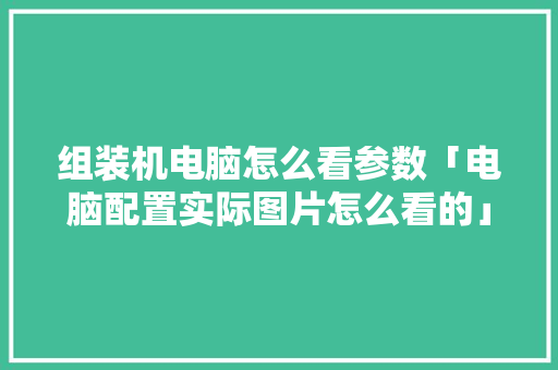 组装机电脑怎么看参数「电脑配置实际图片怎么看的」 组装机电脑怎么看参数「电脑配置实际图片怎么看的」 网络技术