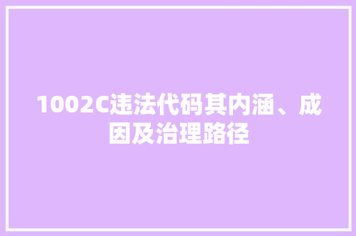 1002C违法代码其内涵、成因及治理路径