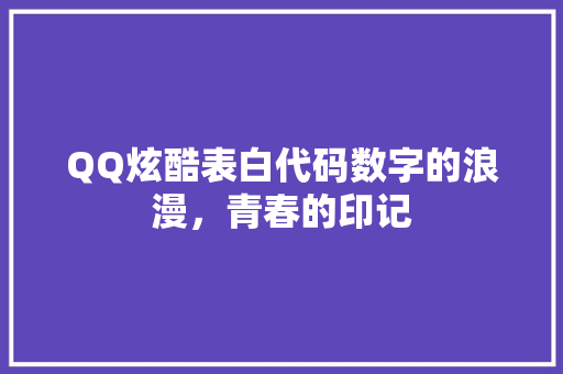 QQ炫酷表白代码数字的浪漫，青春的印记