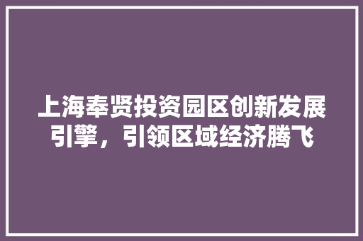 上海奉贤投资园区创新发展引擎，引领区域经济腾飞