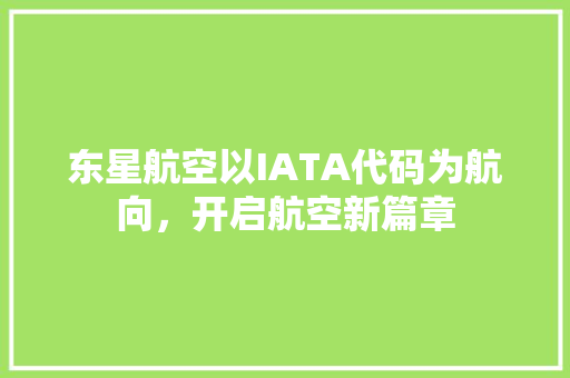 东星航空以IATA代码为航向，开启航空新篇章 网络技术
