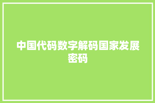 中国代码数字解码国家发展密码